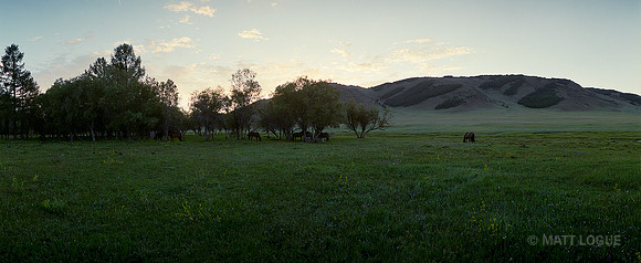 Near Tarvagatai Uul National Park, Zavkhan, Mongolia