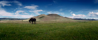 Mongolia