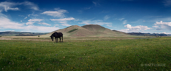 Near Tarvagatai Uul National Park, Zavkhan, Mongolia