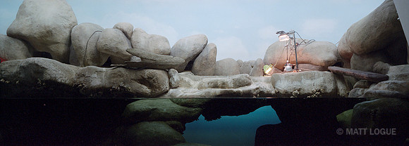 Diorama under construction, California Academy of Sciences, San Francisco