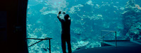 California Coast exhibit, California Academy of Sciences, San Francisco