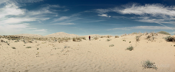 Near Kelso Dunes, Mojave National Preserve CA