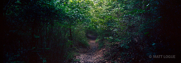 Kumano Kodo trail