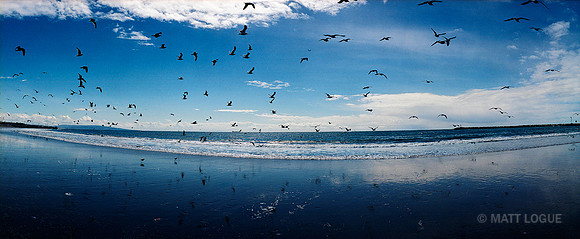 Playa Del Rey, CA