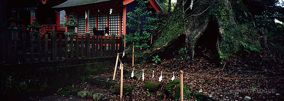 Along the Kumano Kodo trail, Japan
