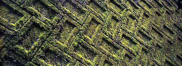 Pattern on stone retaining wall, Kumano Kodo trail, Japan