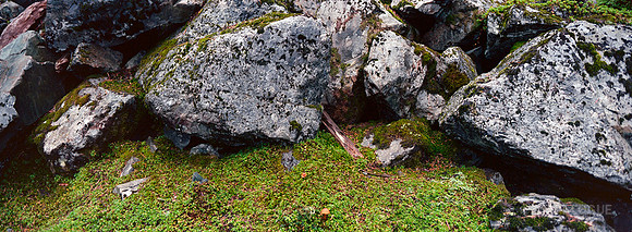 Rocks near Snow Lake, WA