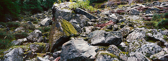 Rocks near Snow Lake, WA