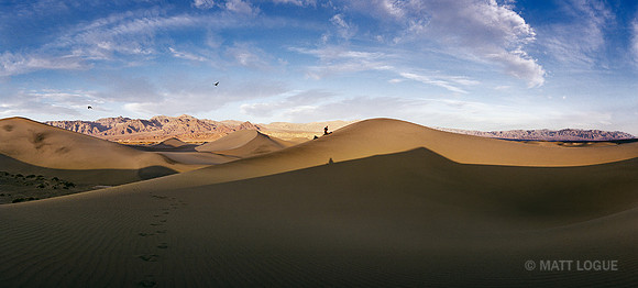 Man on sand dunes with crows, Death Valley NP