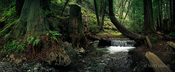 Trail to kilns, Limekiln State Park CA