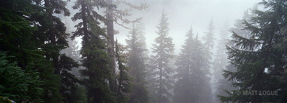 Fog on the trail to Snow Lake, WA