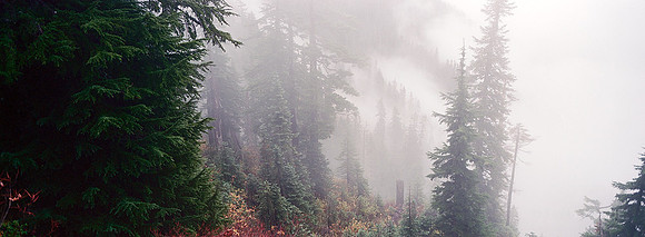 On the trail to Snow Lake, near Snoqualmie Pass, WA
