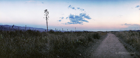 Caspars National Forest, CA