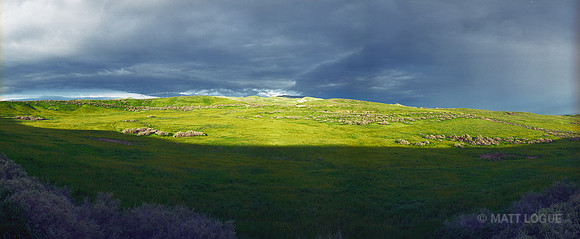 Along highway 269, near Coalinga CA