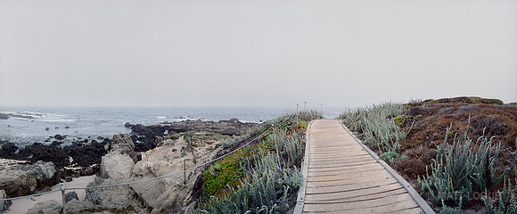 Near Asilomar CA