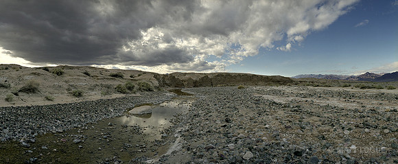 Amargosa River, Death Valley NP CA